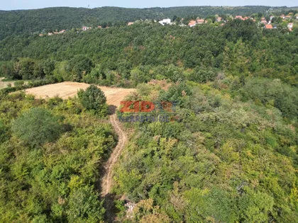 Trebeška ulica | 4zida.rs