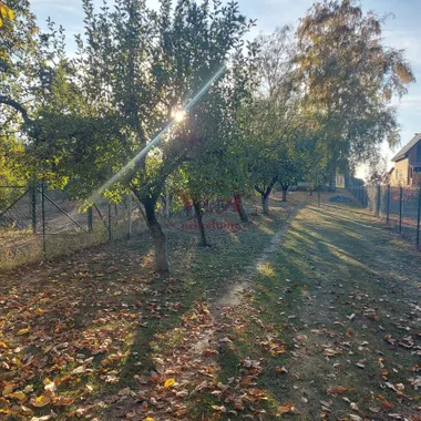Bačko Gradište