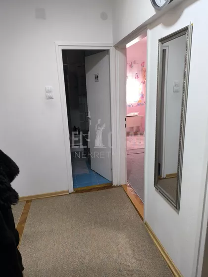 Dragoslava Srejovića | 4zida.rs