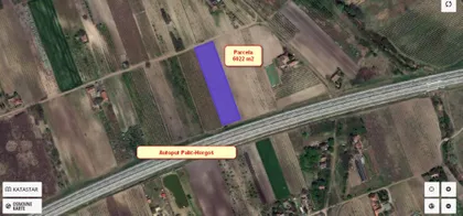 Palić | 4zida.rs