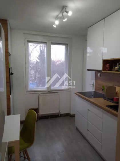 Olge Petrov | 4zida.rs