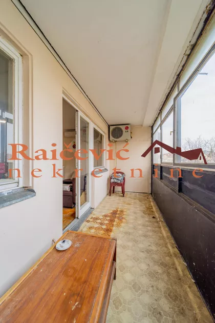 Dr Ivana Ribara | 4zida.rs