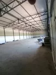 Hala | 4zida
