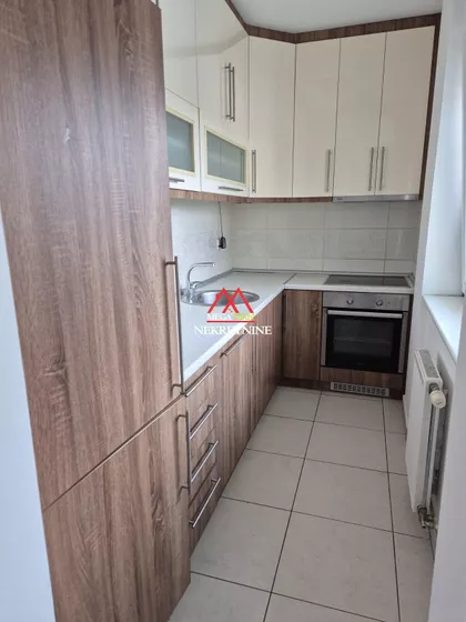 Danila Kiša | 4zida.rs