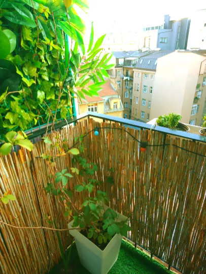 Makedonska | 4zida.rs