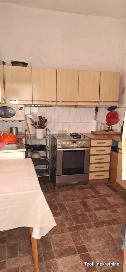 Sibinjanin Janka | 4zida.rs