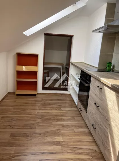 Žarka Vasiljevića | 4zida.rs