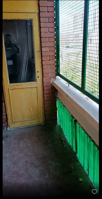 Žarka Vasiljevića | 4zida.rs