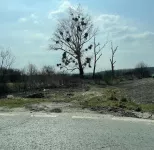 Plac | 4zida