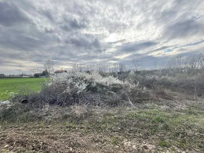 Kosmajska | 4zida.rs