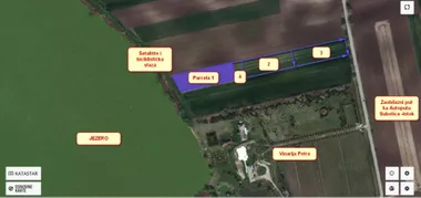 Palić