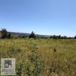 Plac | 4zida