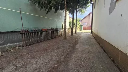 Zrenjanin, Bagljaš | 4zida.rs