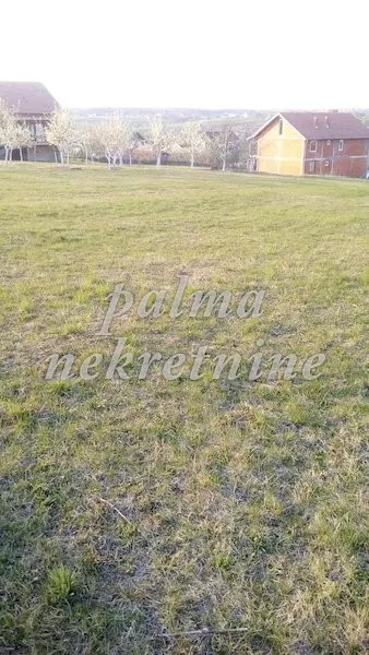 Male Pčelice