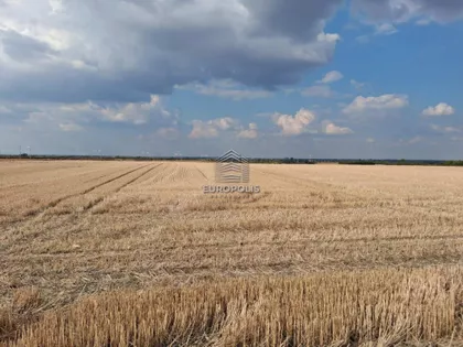 Dobanovci | 4zida.rs