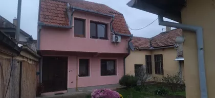 Žarka Zrenjanina | 4zida.rs