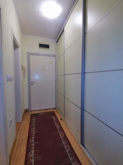 Nova Detelinara | 4zida.rs