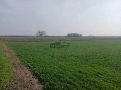 Državna šuma | 4zida.rs