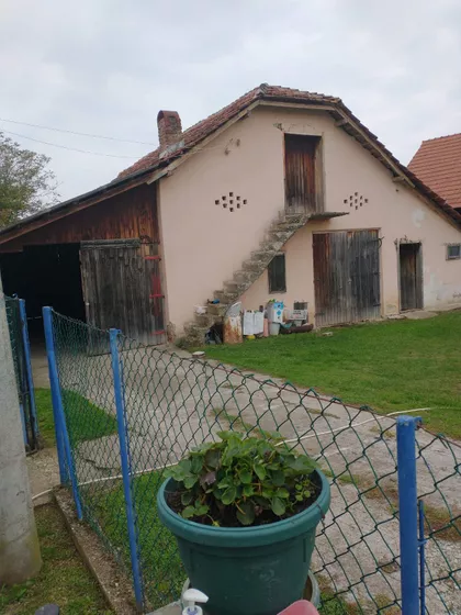 Gorana Raičevića | 4zida.rs