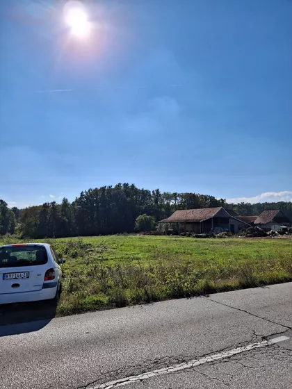 Jovana Bojovića | 4zida.rs