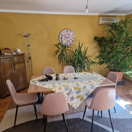 Dragomira Kranjčevića | 4zida.rs