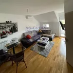 Novi Sad, Gradske lokacije, Telep | 4zida.rs | 4zida.rs