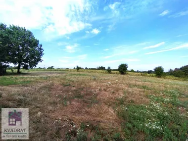 Trlić