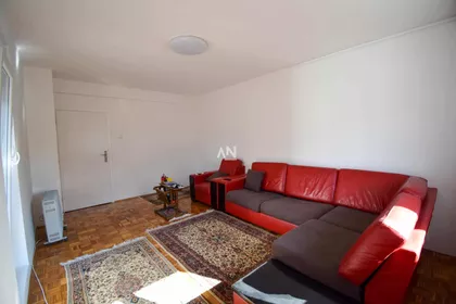 Dr Teodora Borockog | 4zida.rs