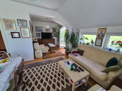 Novosadski Put | 4zida.rs