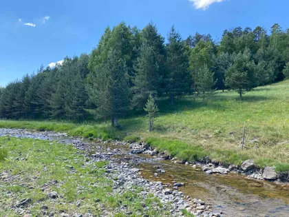 Kobilja Glava | 4zida.rs