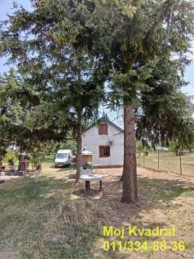 Braće Trninić
