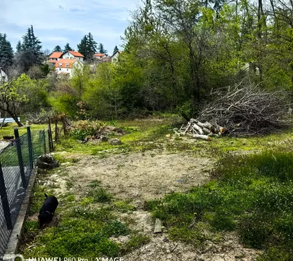 Hajduk-Veljkova 26 | 4zida.rs