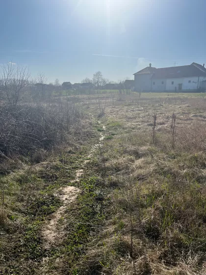 Cvetojevac | 4zida.rs