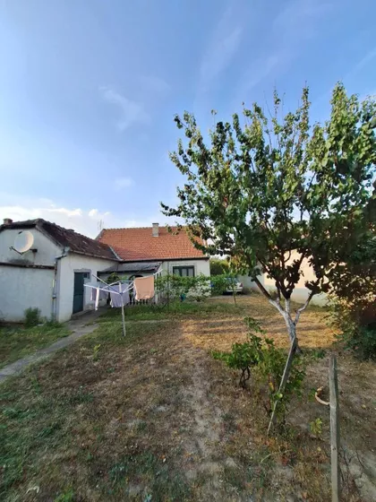 Žarko Zrenjanin | 4zida.rs