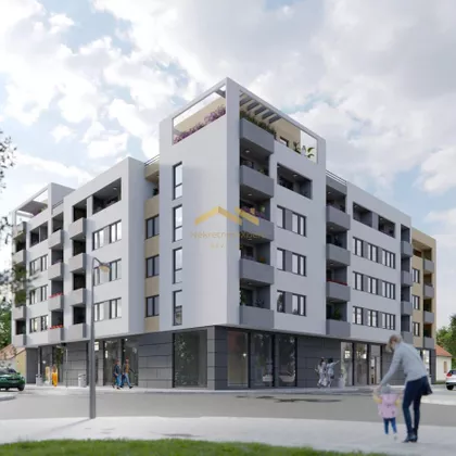 Salajka | 4zida.rs