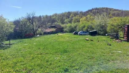 Bačevička | 4zida.rs