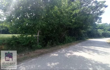 Brgulice | 4zida.rs