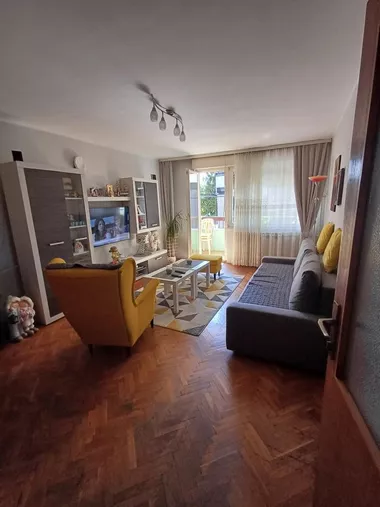 Vojvode Tankosića