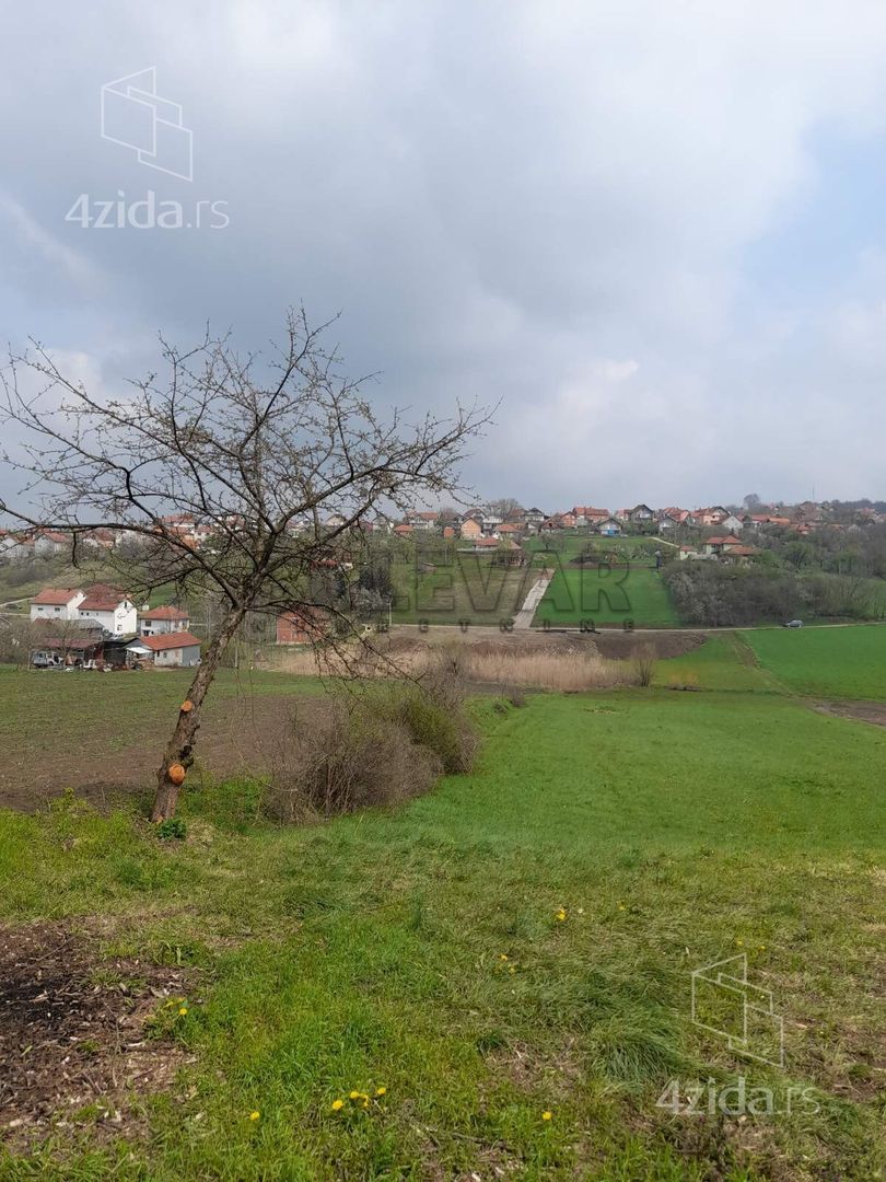 Viška