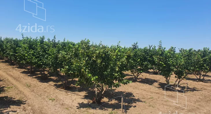 Poljoprivredno zemljište | 4zida