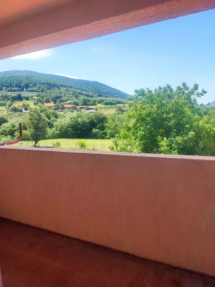 Mome Dimića | 4zida.rs