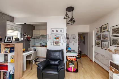 Aleksandra Petrovića | 4zida.rs