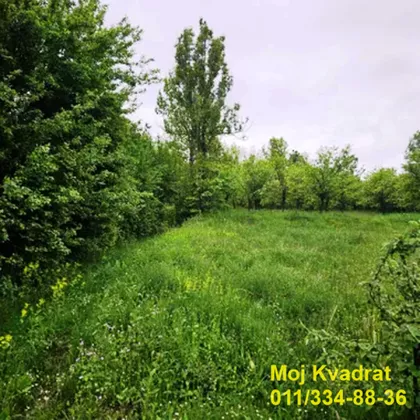 Maršala Tita | 4zida.rs