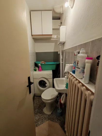 Cara Dušana | 4zida.rs