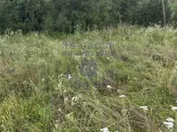 Okolne lokacije, Sremski Karlovci | 4zida.rs