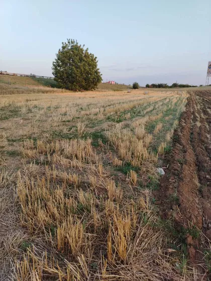 Donja Toponica | 4zida.rs