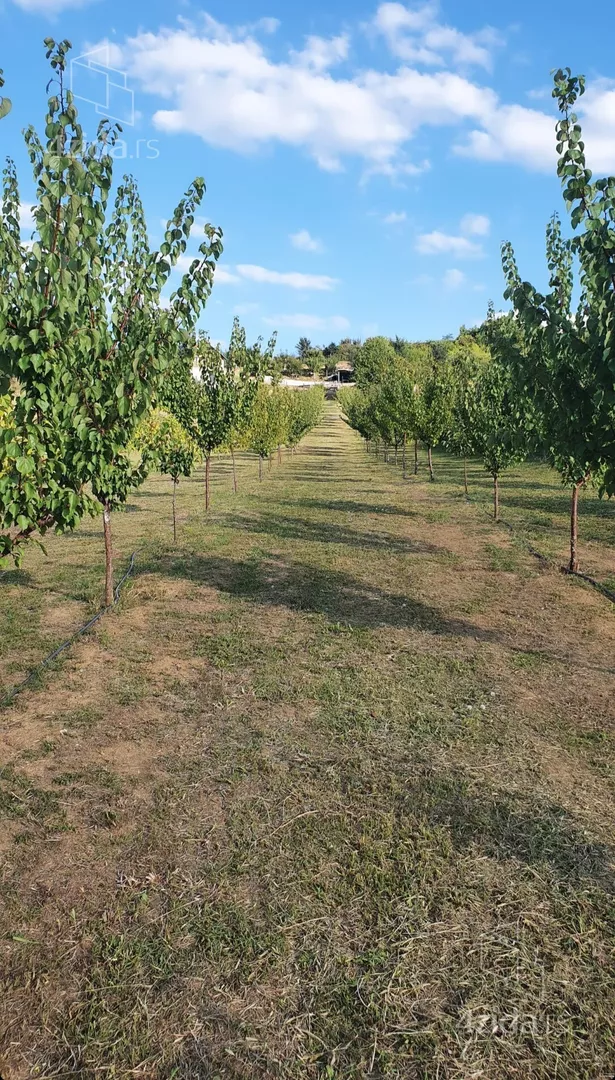 Poljoprivredno zemljište | 4zida