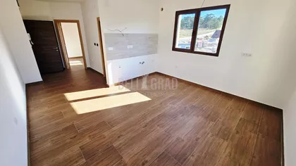 Belog narcisa | 4zida.rs