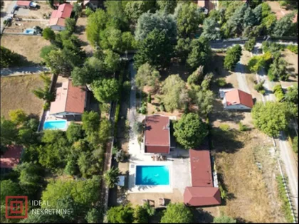 Trešnja | 4zida.rs