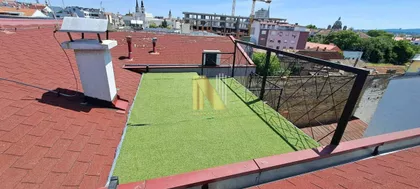 Rotkvarija | 4zida.rs